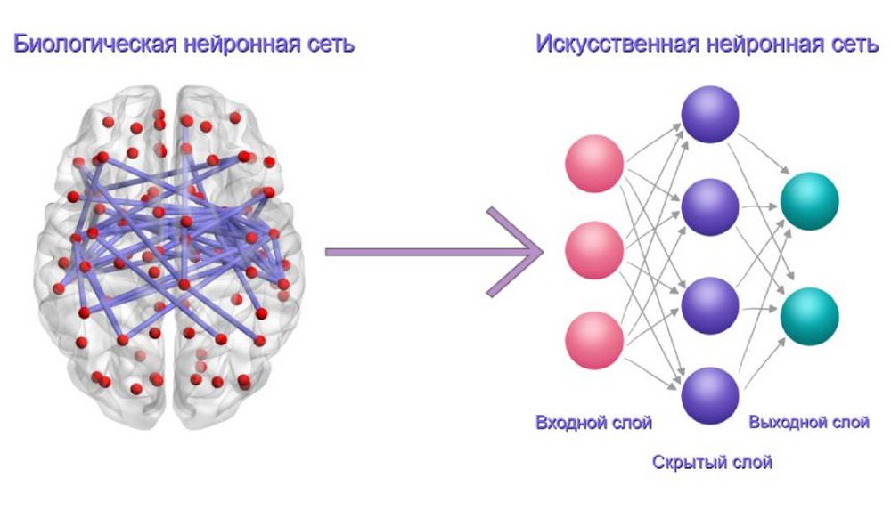 сокращение от искусственная нейронная сеть