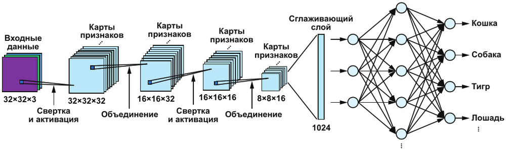 Свёрточные сети (CNN) — специалист по картинкам